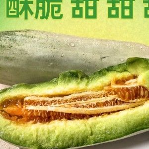 甜瓜 羊角蜜博洋61甜瓜