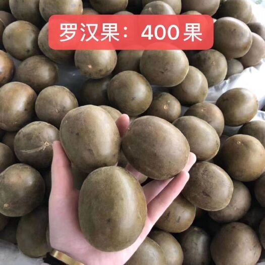 玉林 罗汉果