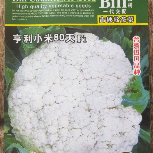 商丘白面青梗松花菜种子 亨利小米松花80天：矮脚、浅青梗、、白面、小米，1--2公斤