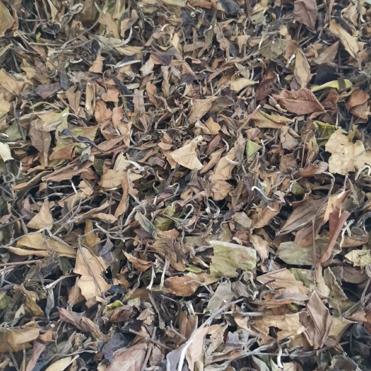 福鼎市福鼎白茶18年大货寿眉量大从优