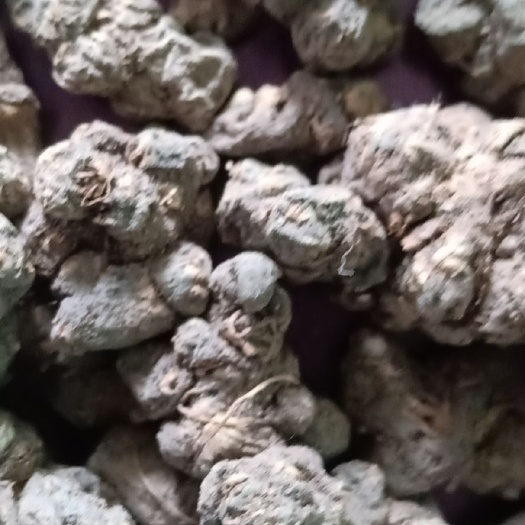 淮滨县夏天无 过风机