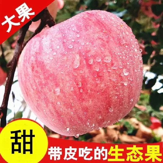 京山市 山东红富士苹果带箱9.5~10斤，脆甜爽口，天然生态果