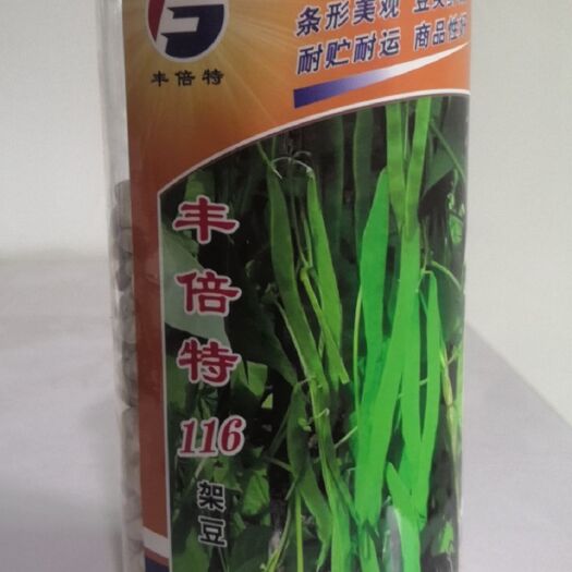 顺平县绿龙豆角 三扁架豆种子