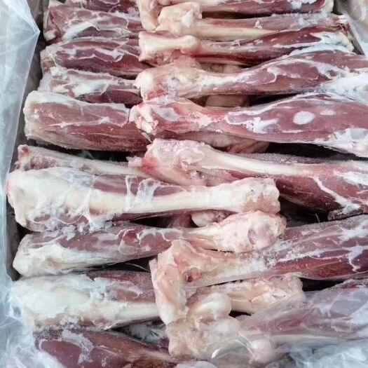 锡林浩特羊腿肉 锡林浩特市东乌珠穆沁旗大羊羊小腿