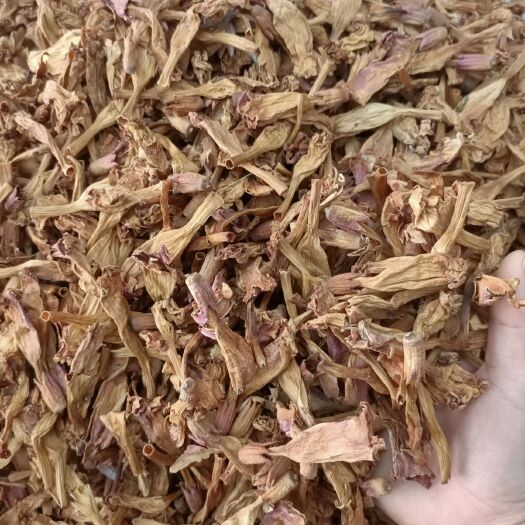 亳州凌霄花