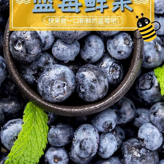 宽甸县矮丛蓝莓  顺丰空运新鲜蓝莓鲜果丹东特产蓝莓现摘现