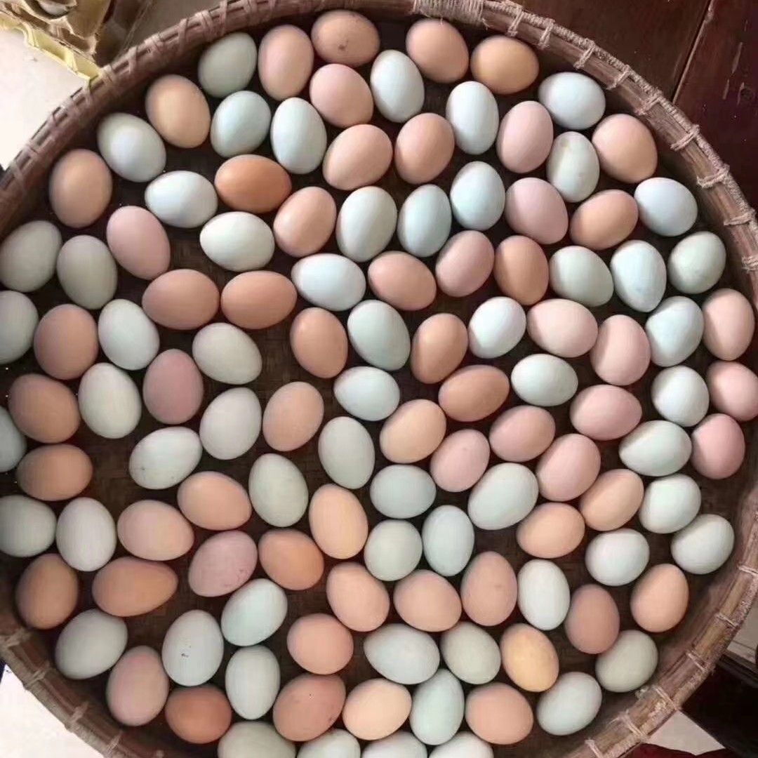 安徽纯正土鸡蛋 柴鸡蛋 本鸡蛋 1斤10个，全国发货