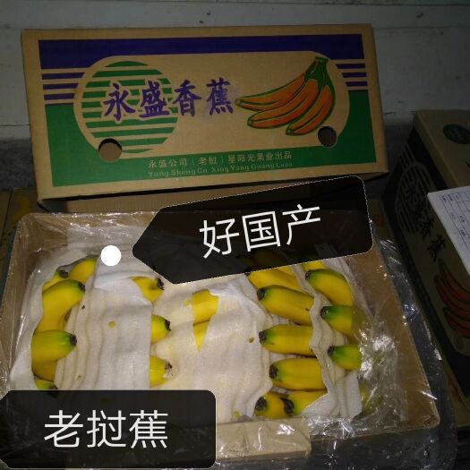 北京 菲律宾，老挝，海南，越南等香蕉