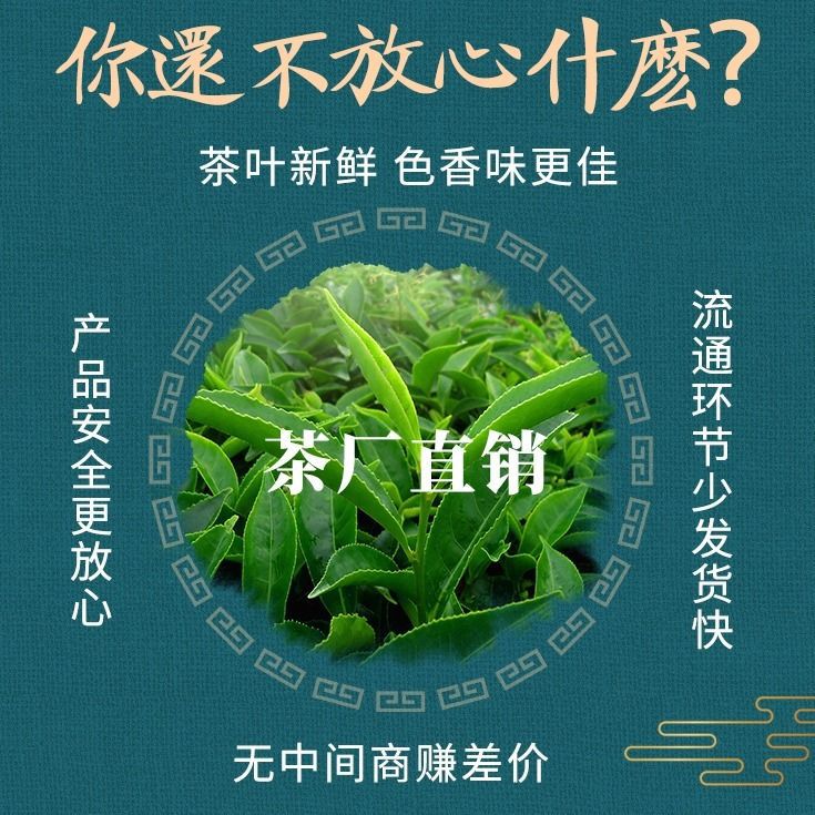  江西遂川高山狗牯脑绿茶茶农自产自销，浓香耐泡，口感浓郁。