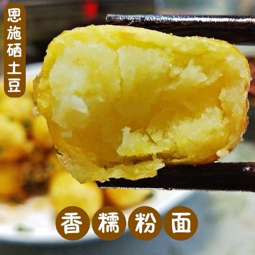 巴东县 正宗恩施小土豆（马尔科品种）