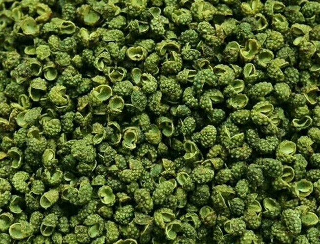 鲁甸县鲁甸青花椒马上成熟，采购商多关注我们大型基地，加专一经纪人