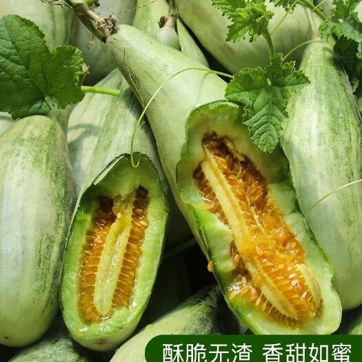 贵港羊角蜜甜瓜 羊角蜜