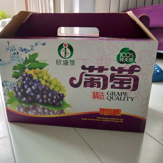 郑州保鲜箱 精品手提葡萄箱