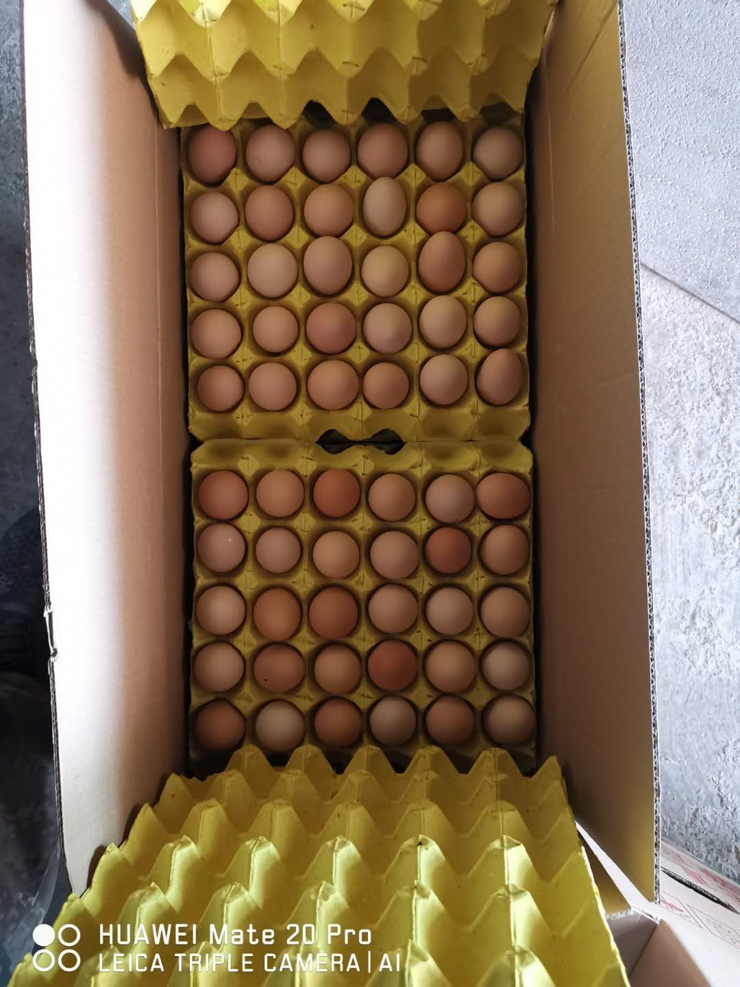 安徽纯正土鸡蛋 柴鸡蛋 本鸡蛋 1斤10个，全国发货