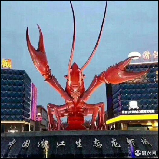 潜江市中国龙虾  合作千亩稻田龙虾基地，欢迎优质诚信商家实地考察，洽谈合作