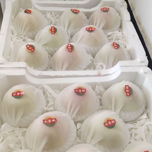 新沂市白凤桃  江苏水蜜桃   白凤水蜜桃，优质富硒水蜜桃，可以扒皮的
