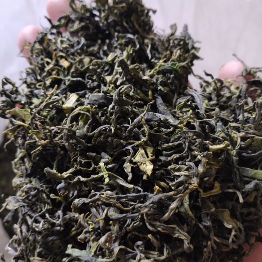 日照 日照绿茶2020春茶
