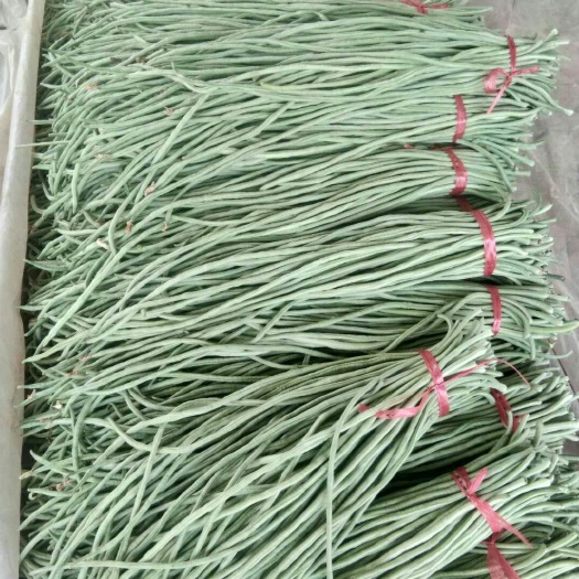 莘县白条豆角 70cm以上