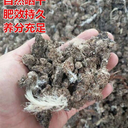 卫辉市 鸡粪有机肥 常年出售发酵鸡粪