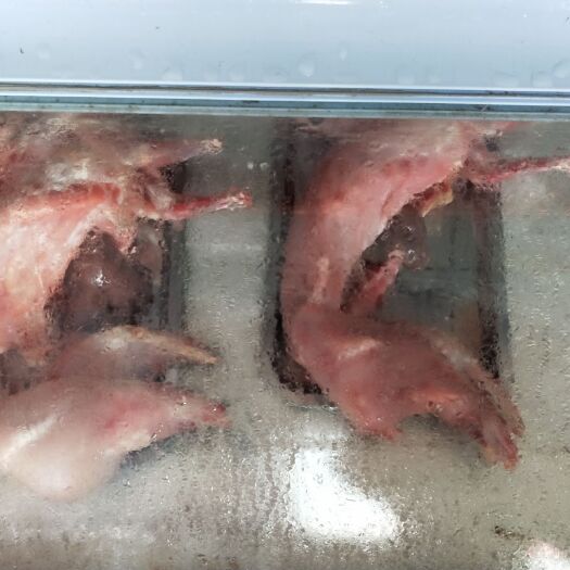 济宁兔肉类 新鲜