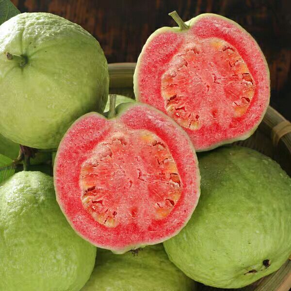 新鲜采摘精选大果红白心番石榴,甘甜汁多,果香浓郁,细腻饱满