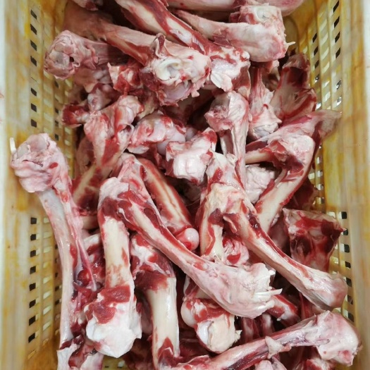 献县羊骨  羊棒骨 常年有货
