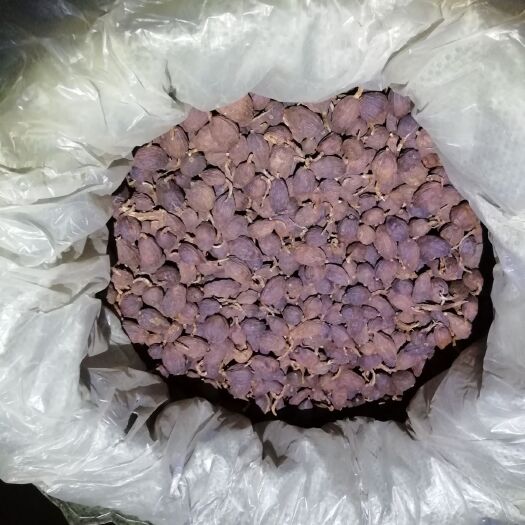 盈江县草果 好好看看爱着就连续，价格实惠！