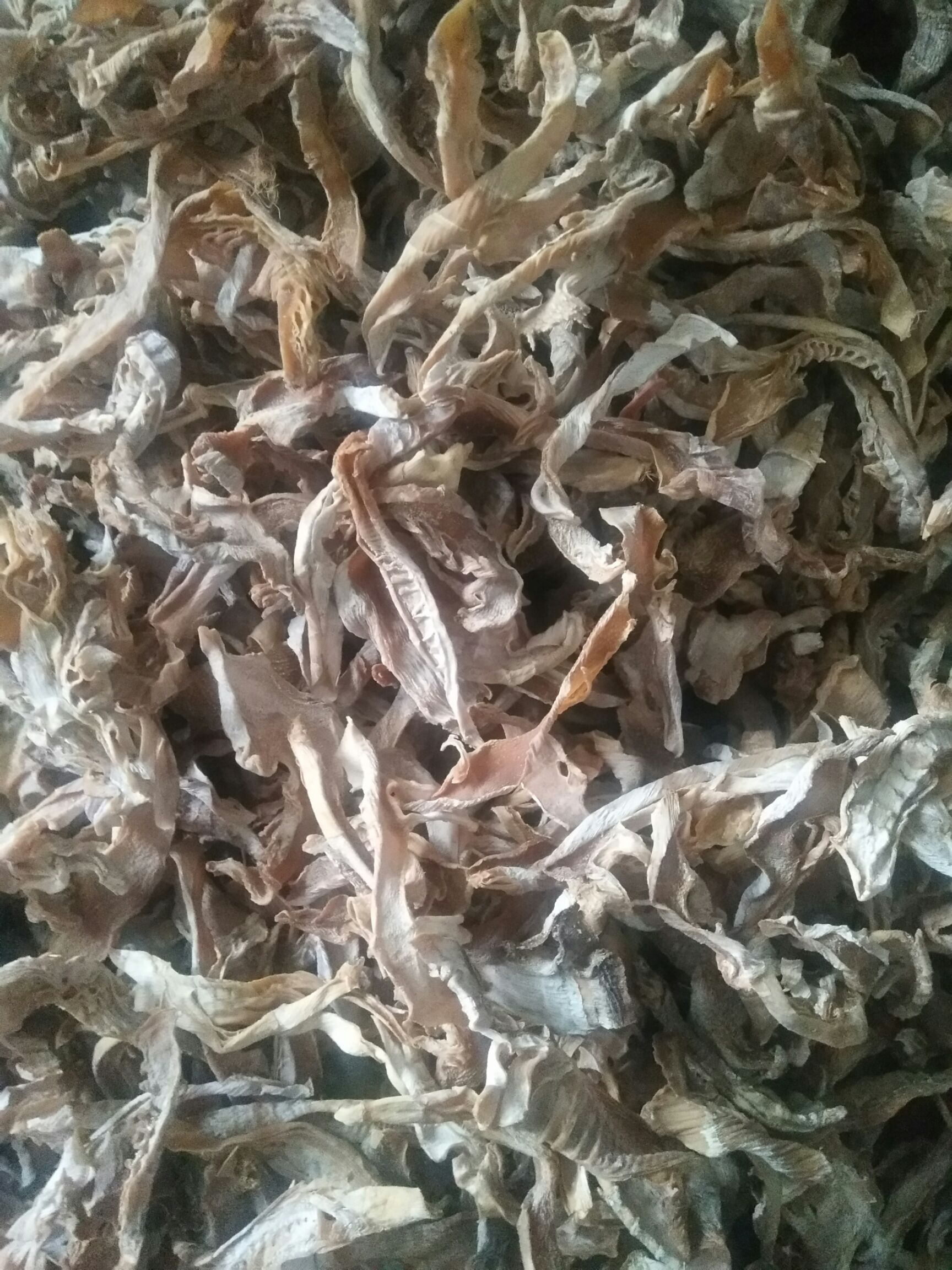 黄笋干 黄山笋干，产地直销，质量好，价位低，绿色产品