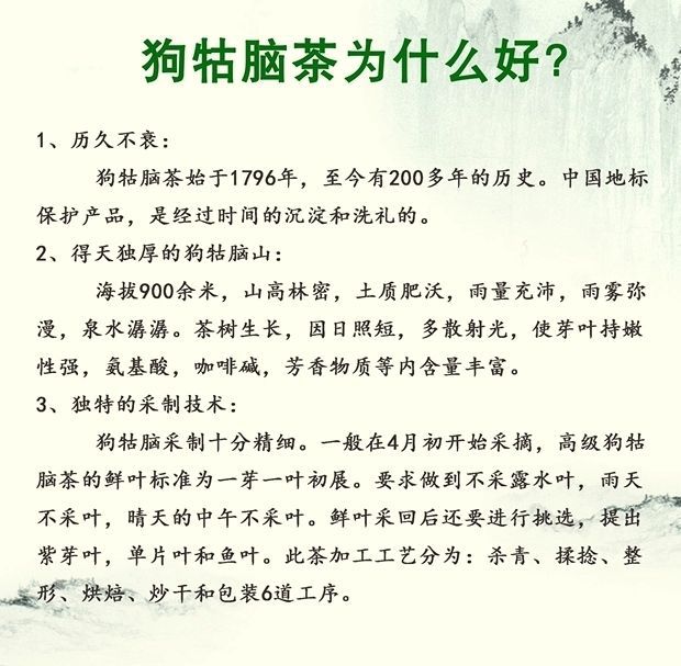  江西遂川高山狗牯脑绿茶茶农自产自销，浓香耐泡，口感浓郁。