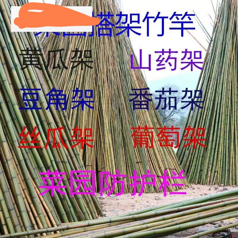 竹竿冬瓜架豆角架大棚竹竿黄瓜架子等等