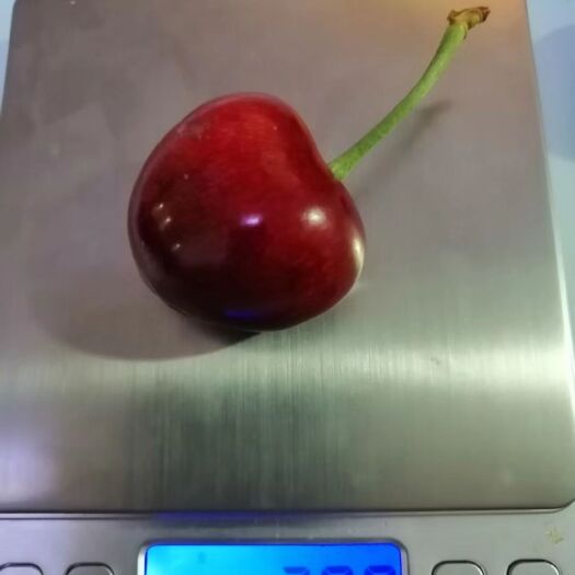 大连 大连精品樱桃