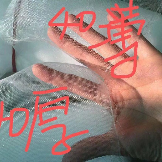 天津 防虫网，防鸟网  抗老化，耐腐蚀