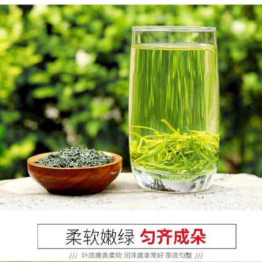 福安市 绿茶2020新茶散装750g浓香型高山云雾特级袋罐装高级炒