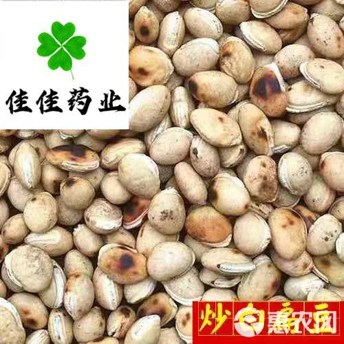 干扁豆 干白扁豆  供应中药材炒白扁豆 选货 实物图
