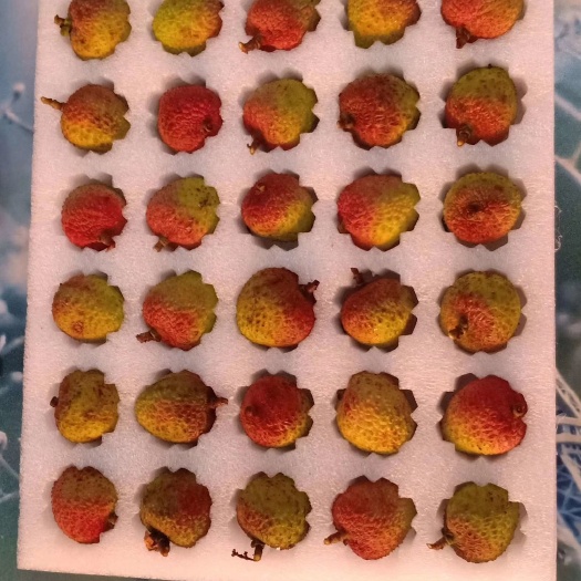 泡沫箱 我们是专业生产珍珠棉包装材料的厂商