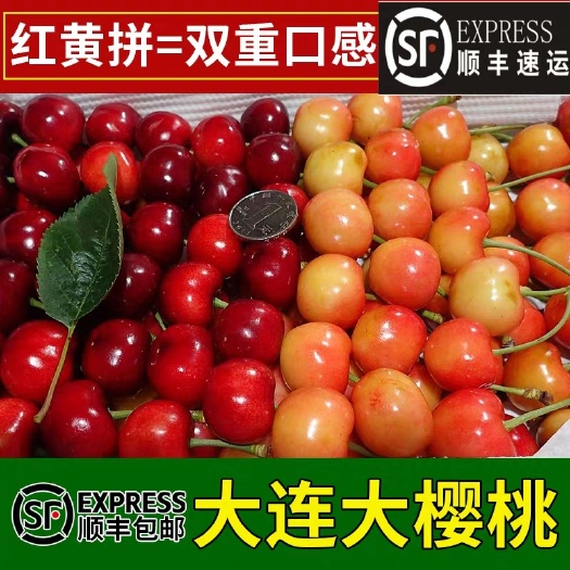 大连 大连陆地大樱桃顺丰包邮