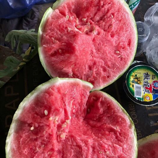  自家种植大棚西瓜8424大量上市非嫁接