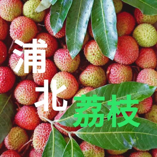 浦北县 世界长寿之乡，中国浦北！
妃子笑荔枝火爆招商一件发货中！