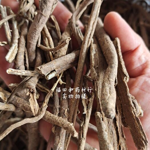 安国市中药材五加皮 南五加皮 五加皮片 可磨五加皮粉 正品