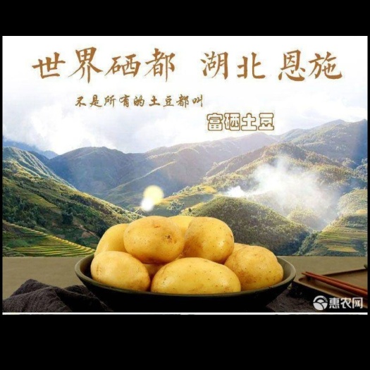 建始县黄心土豆  湖北恩施富硒小土豆硬币大小基地种植，生长周期长夏天不烂不长芽