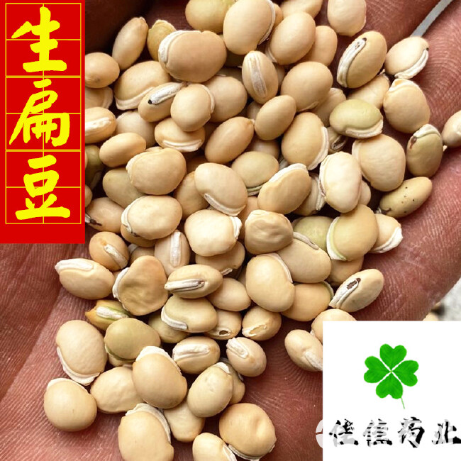 干扁豆 干白扁豆  供应中药材炒白扁豆 选货 实物图