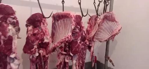 汶上县白条羊 常年批发羊酮体，羊枪子，羊白条，30一斤