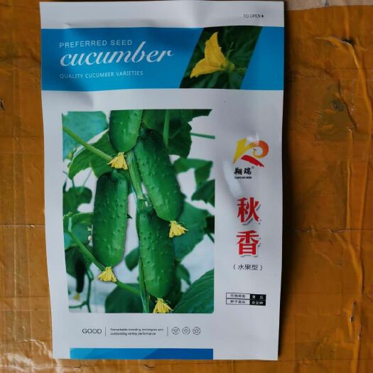 郑州水果黄瓜种子 秋黄水果黄瓜