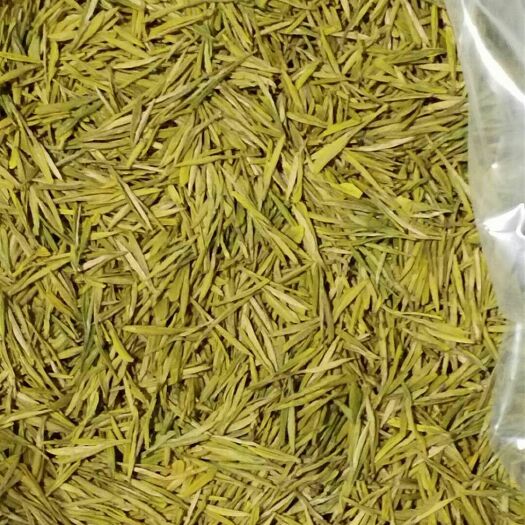 长兴县安吉黄金叶茶 高山安吉黄金茶`白茶