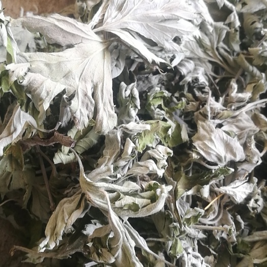鲁山县艾草  2021新艾叶+生大白艾机压包散装大货供应