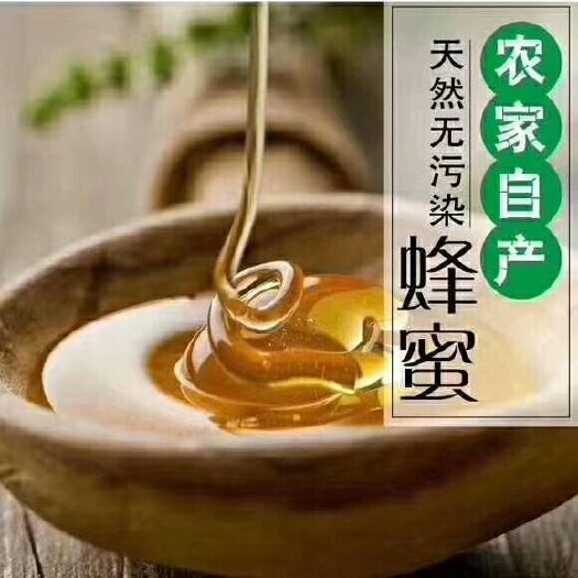 广州中华蜜蜂 中蜂蜜