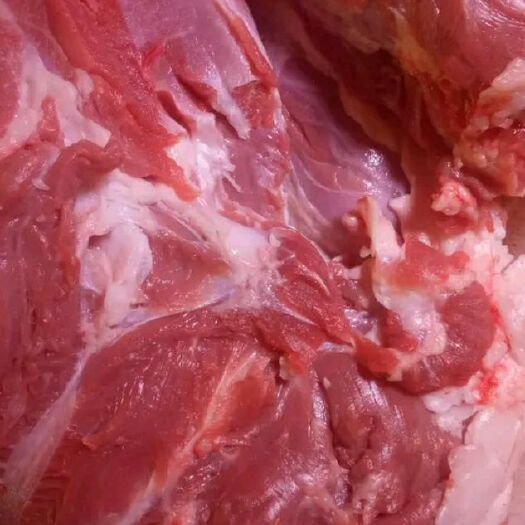 北京 新鲜羊肉 
羊肉串