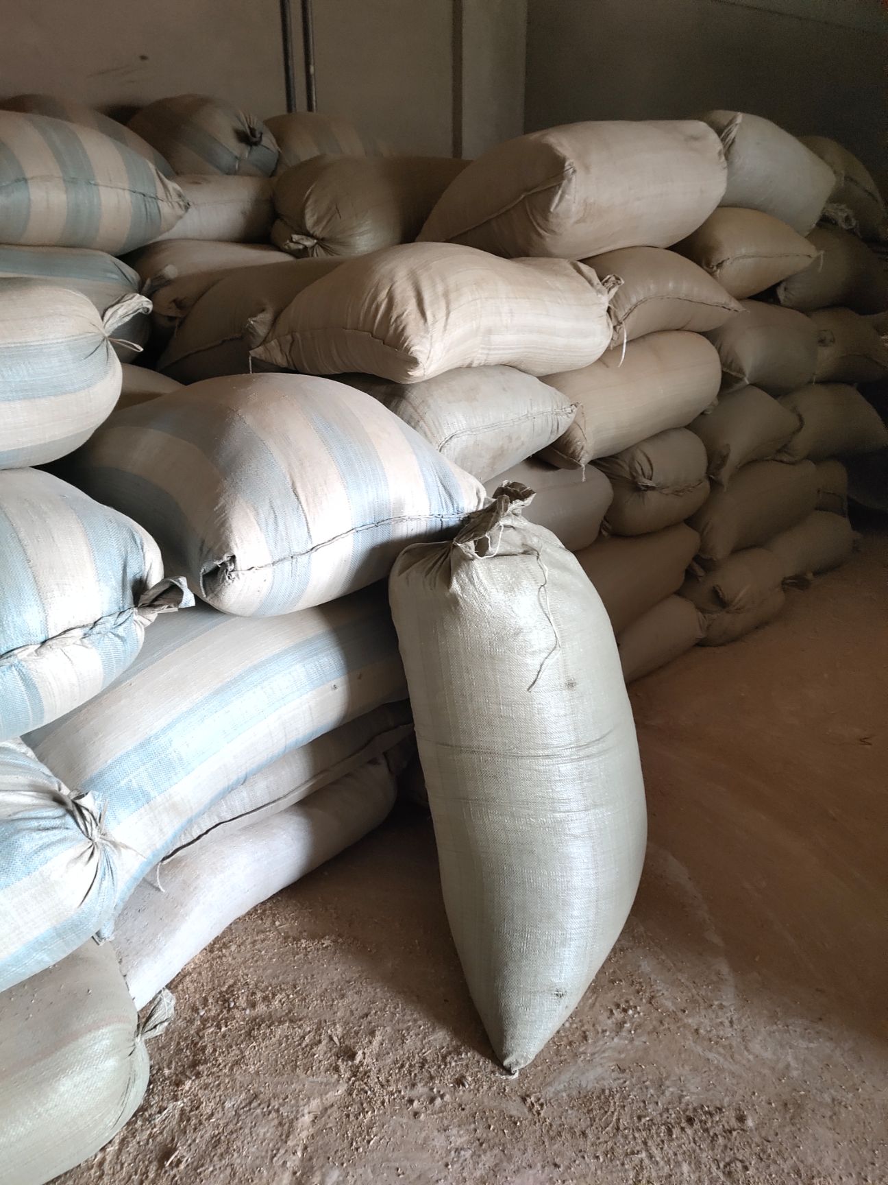 蒙芪  黄芪沫子，饲料厂，药厂的必选，货不多需要的抓紧了