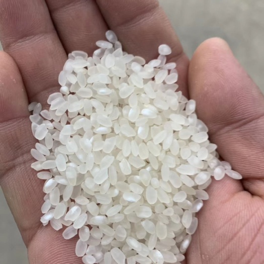 沭阳县 苏北大米直销