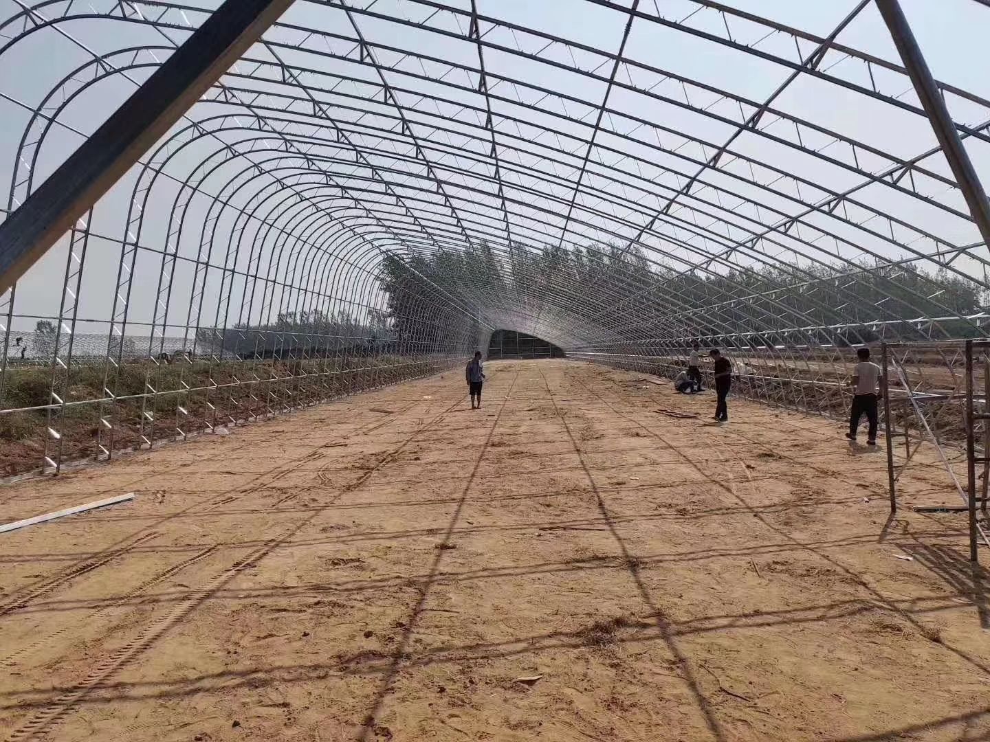 钢管大棚 种植大棚，蔬菜大棚   瓜果大棚，质量保障